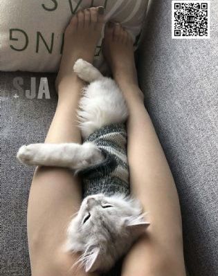 黑袍纠察队在线观看_在线播放-手机免费播放动漫