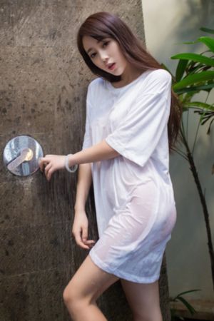 破案电视剧大全集免费观看_DVD高清视频观看