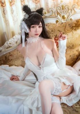丛林激情三片_BD英语日韩免费观看